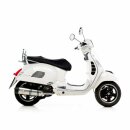 SBK LV ONE GTS 250/300 ev.IN. LV ONE Slip On Evo2 Edelstahl