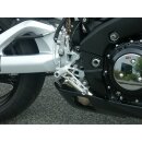 110S119 LSL Rastenanlage SUZUKI B-King